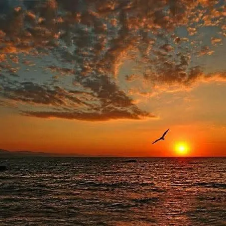 Διαμέρισμα Garden Of Eden Sveti Vlas